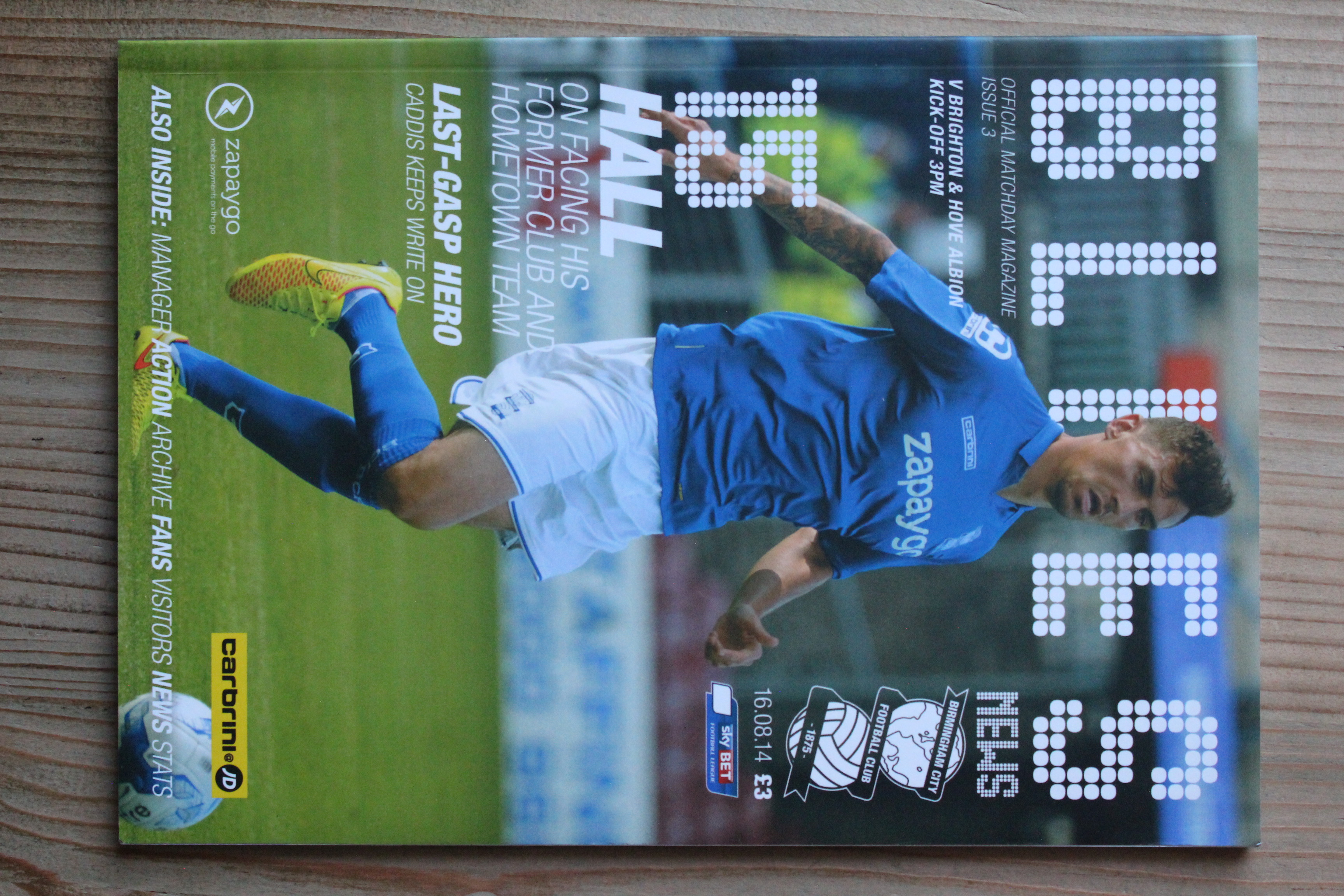 Birmingham City FC v Brighton & Hove Albion FC