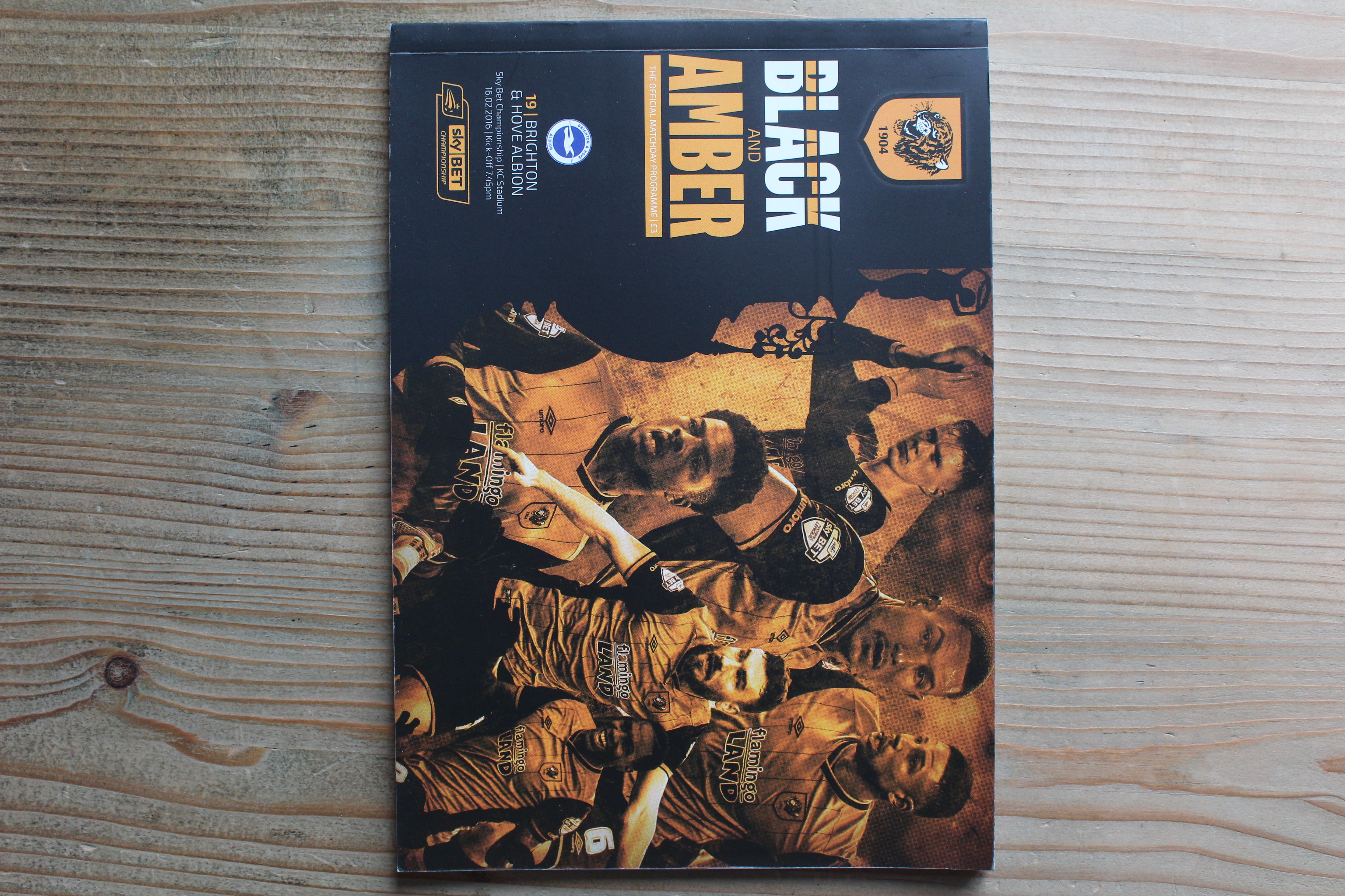 Hull City FC v Brighton & Hove Albion FC