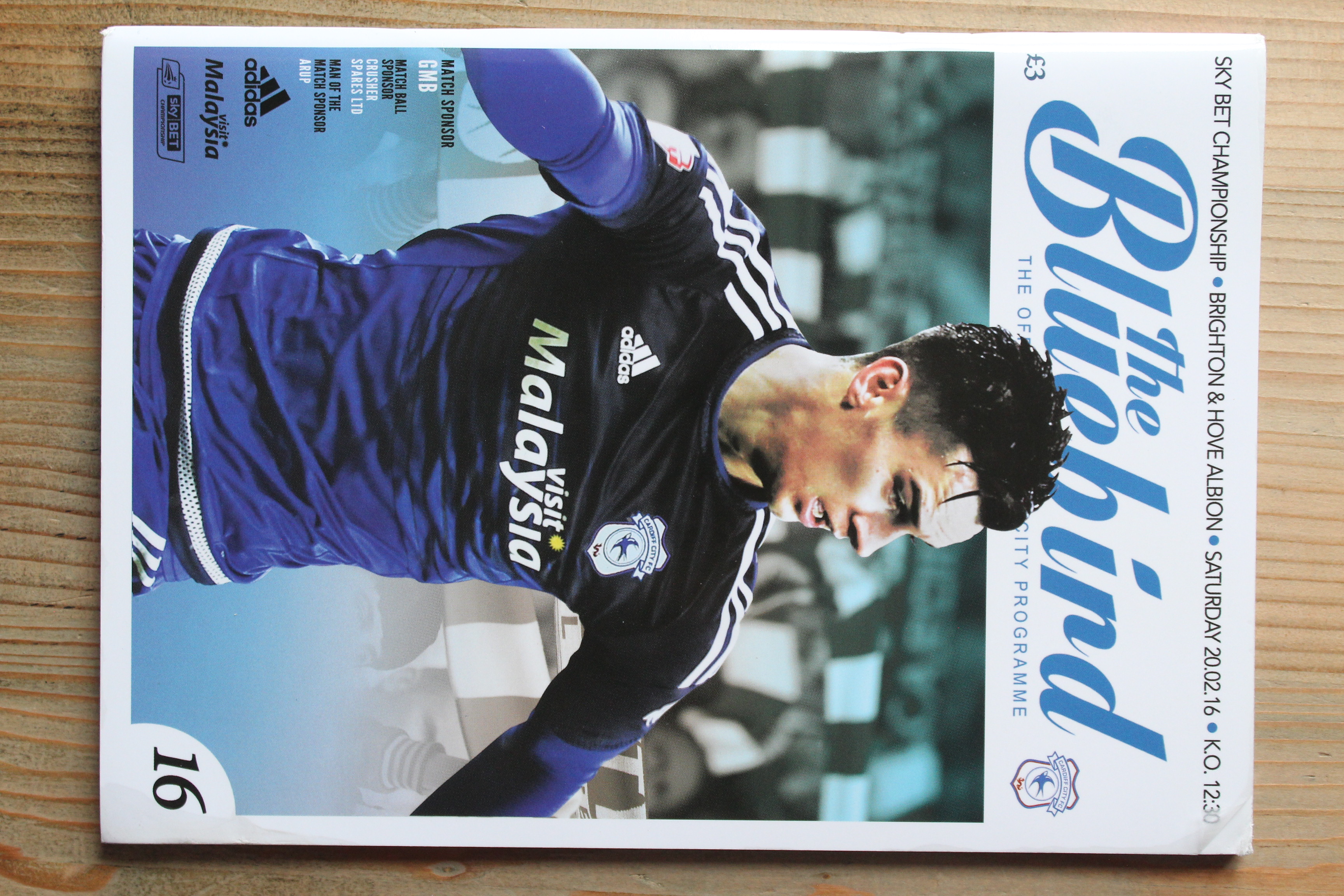 Cardiff City FC v Brighton & Hove Albion FC