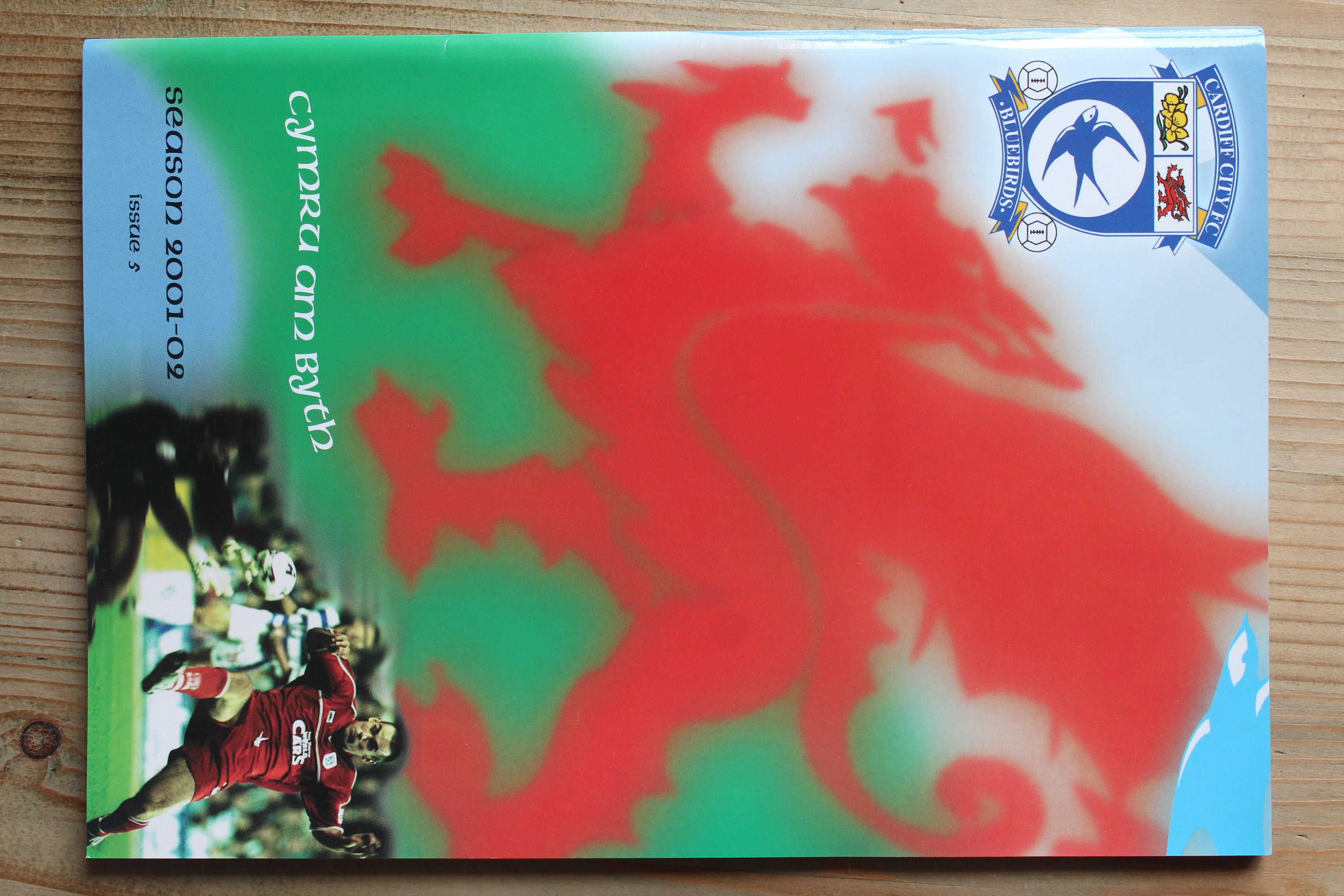 Cardiff City FC v Brighton & Hove Albion FC