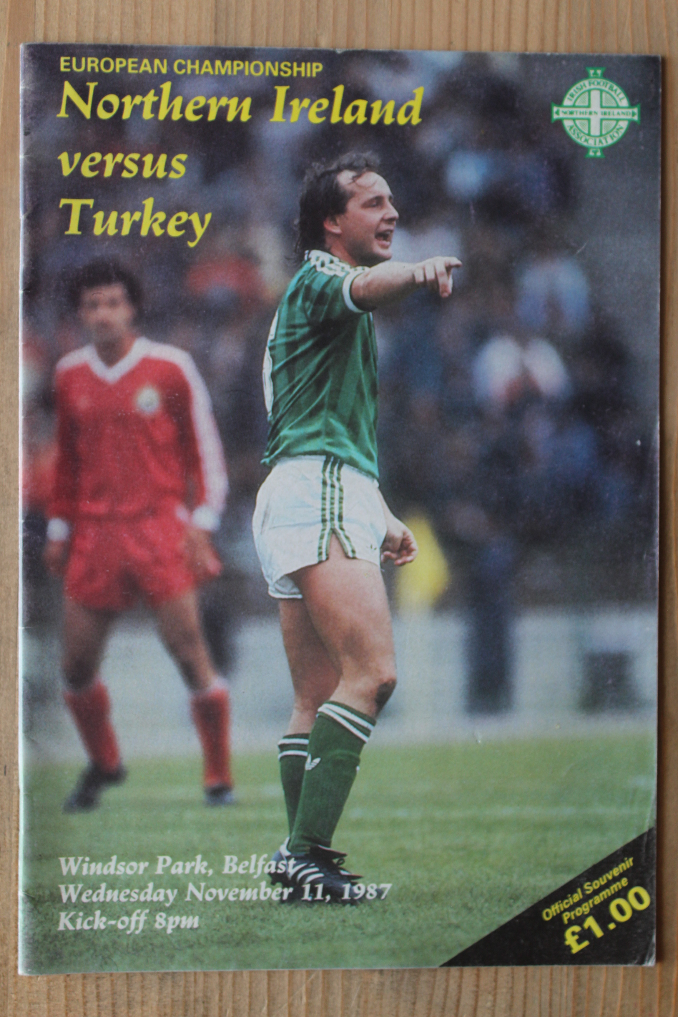 Northern Ireland v Turkey
