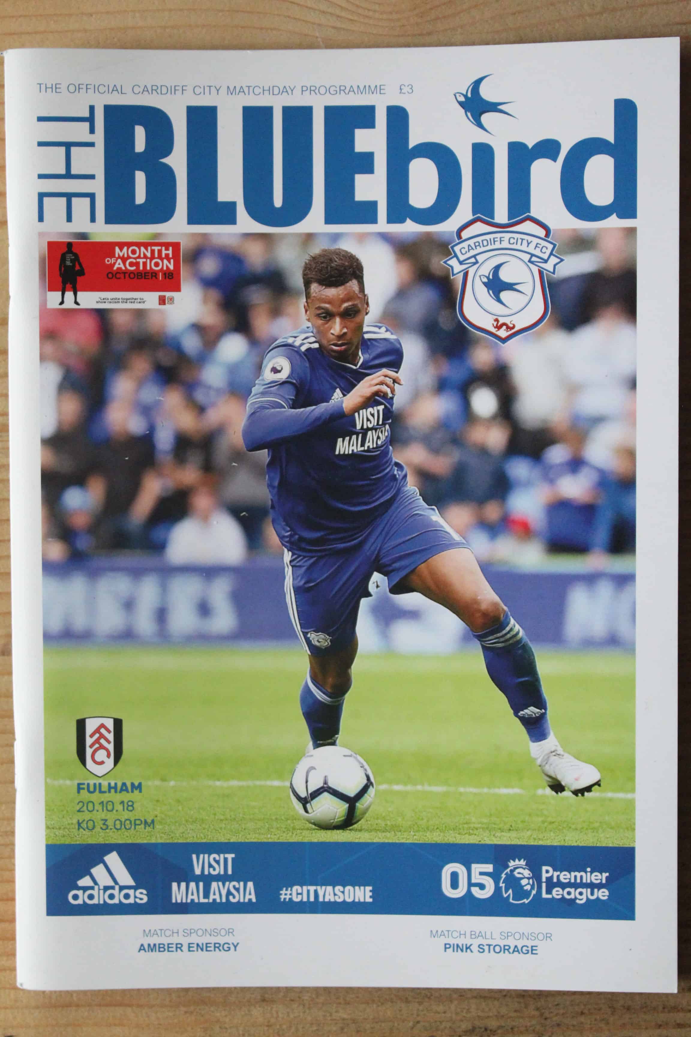 Cardiff City FC v Fulham FC