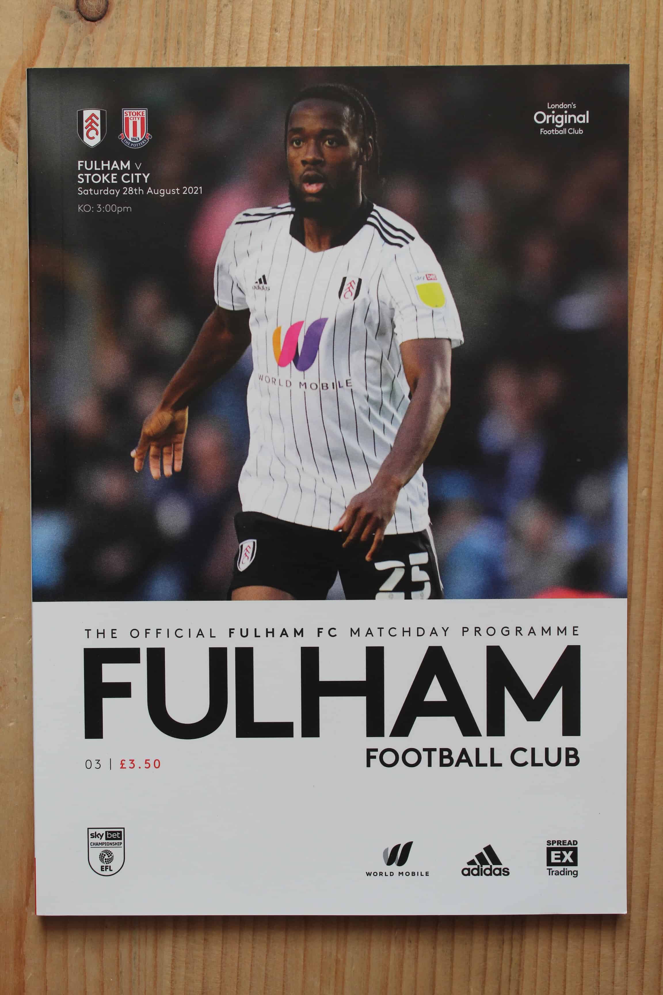 Fulham FC v Stoke City FC