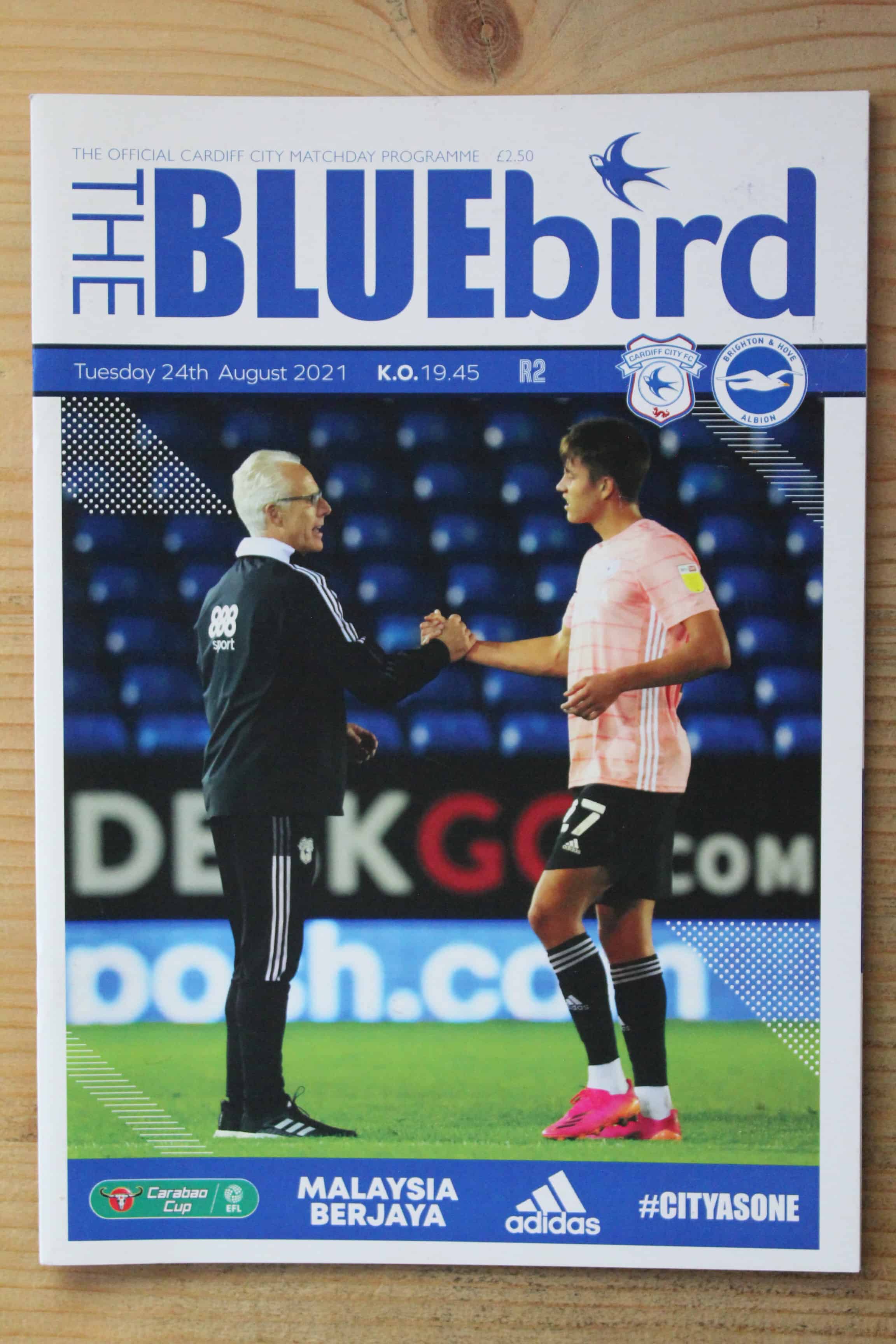 Cardiff City FC v Brighton & Hove Albion FC