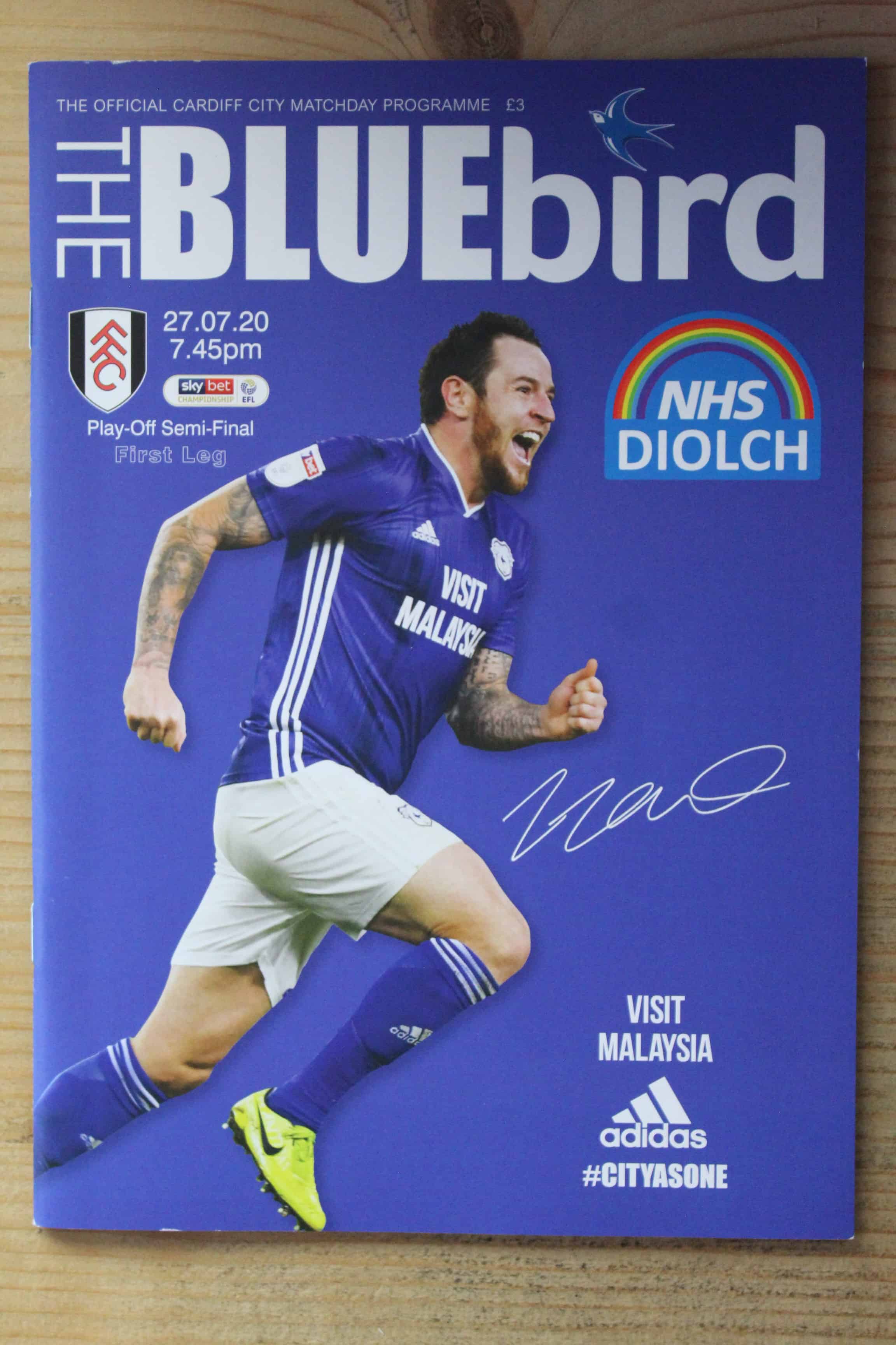 Cardiff City FC v Fulham FC