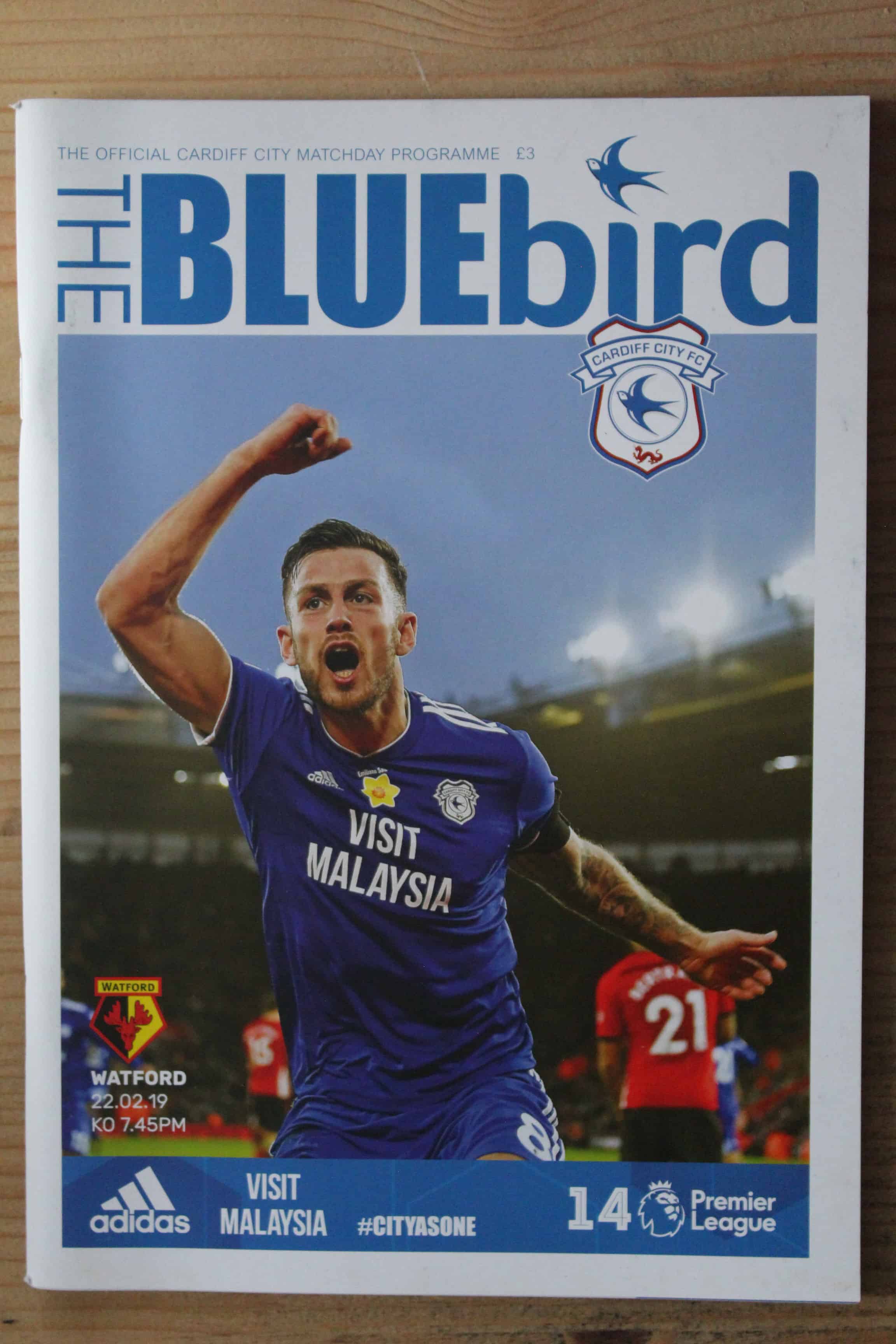 Cardiff City FC v Watford FC