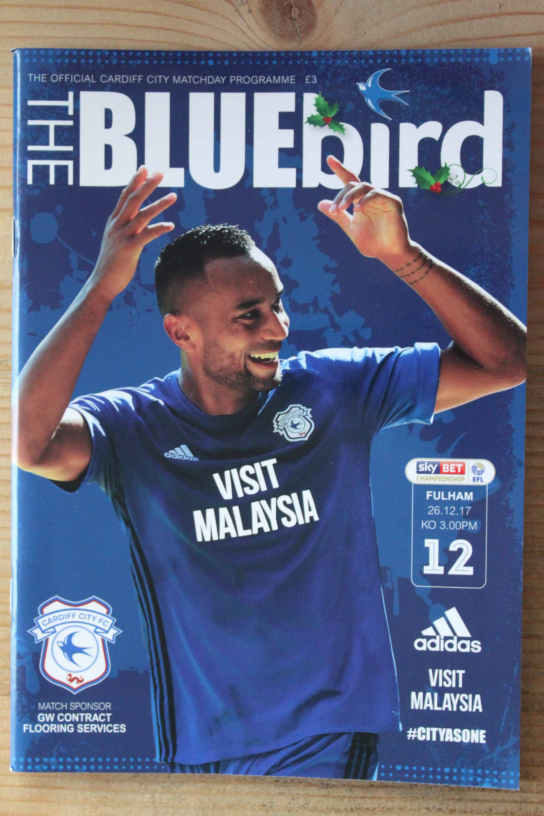 Cardiff City FC v Fulham FC