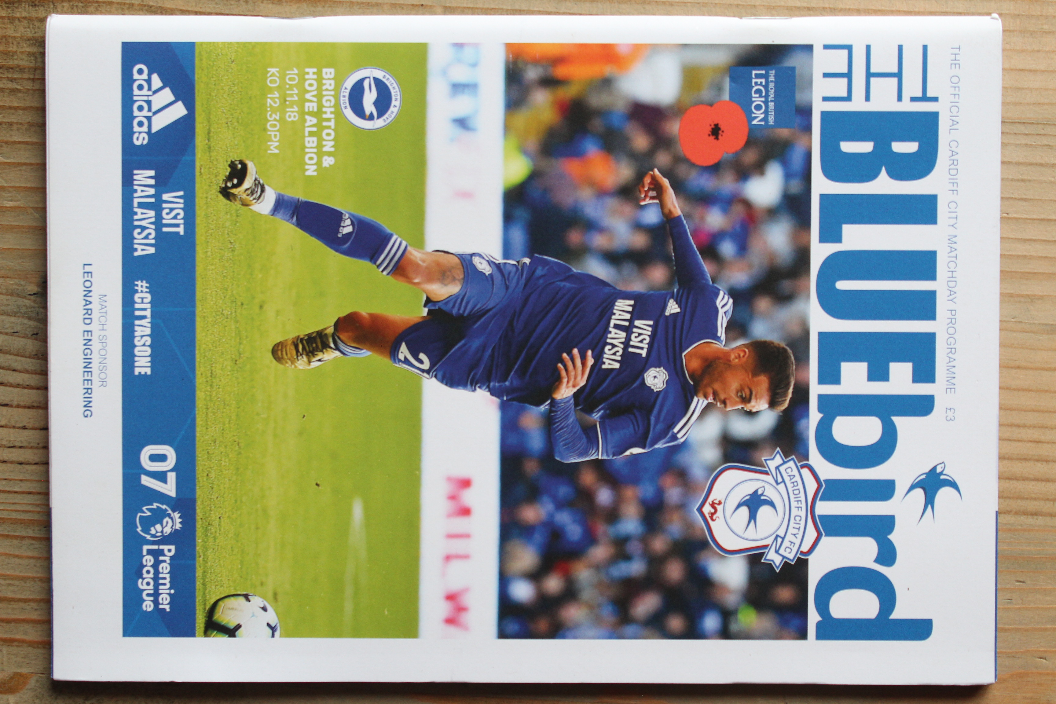 Cardiff City FC v Brighton & Hove Albion FC
