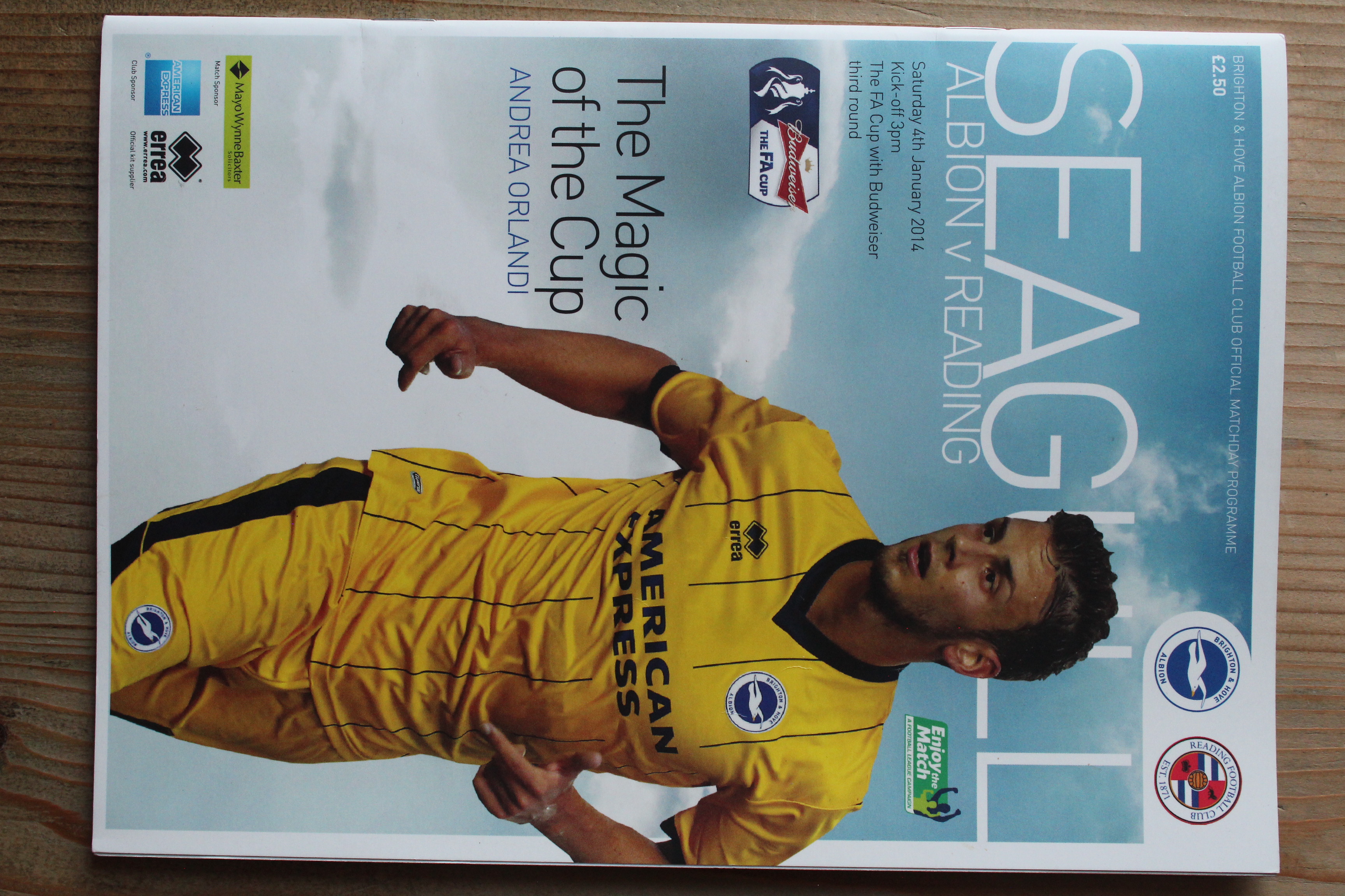 Brighton & Hove Albion FC v Reading FC
