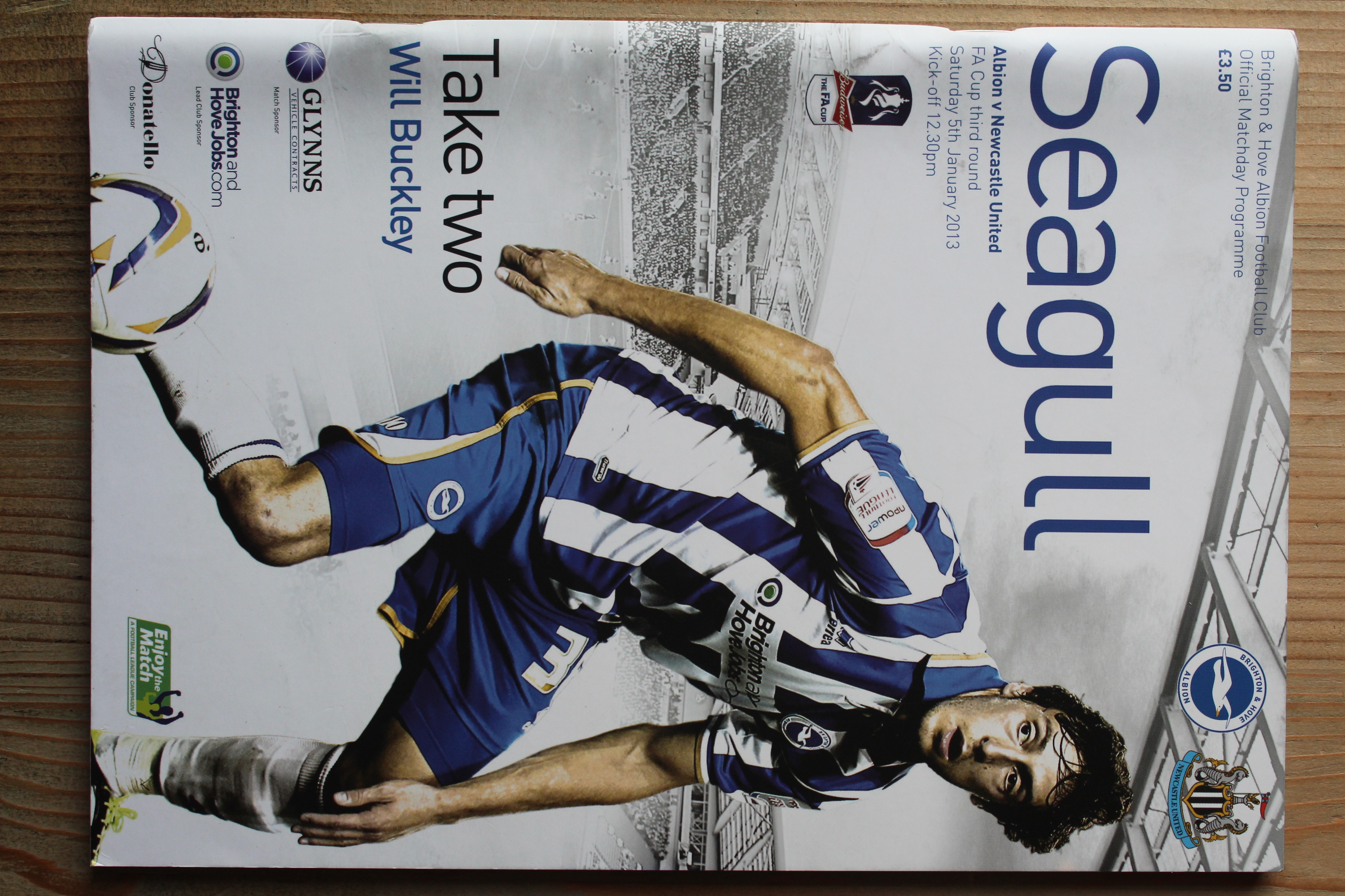 Brighton & Hove Albion FC v Newcastle United FC