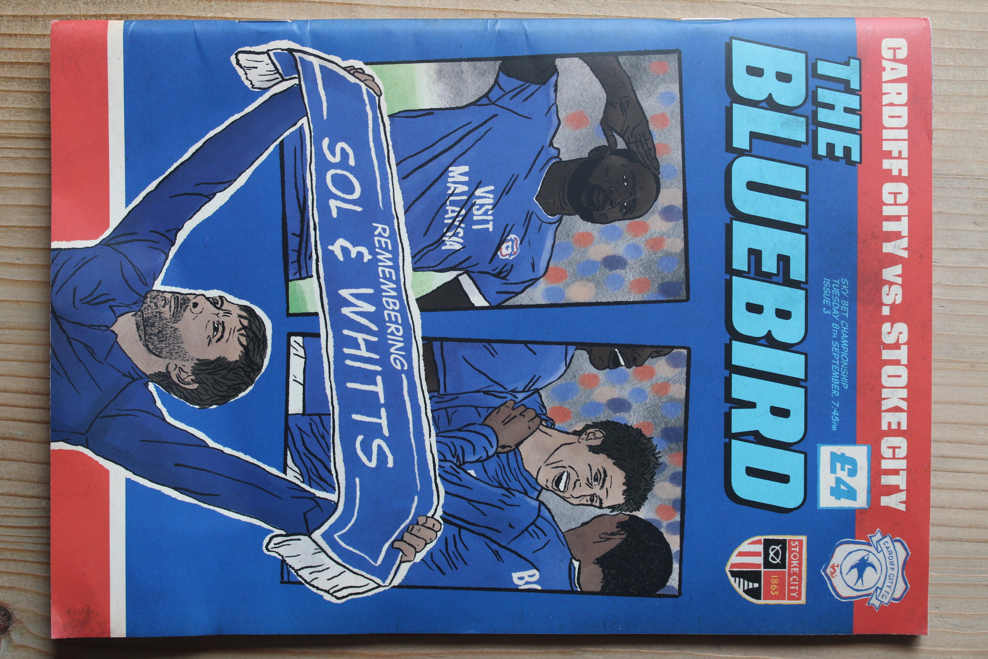 Cardiff City FC v Stoke City FC