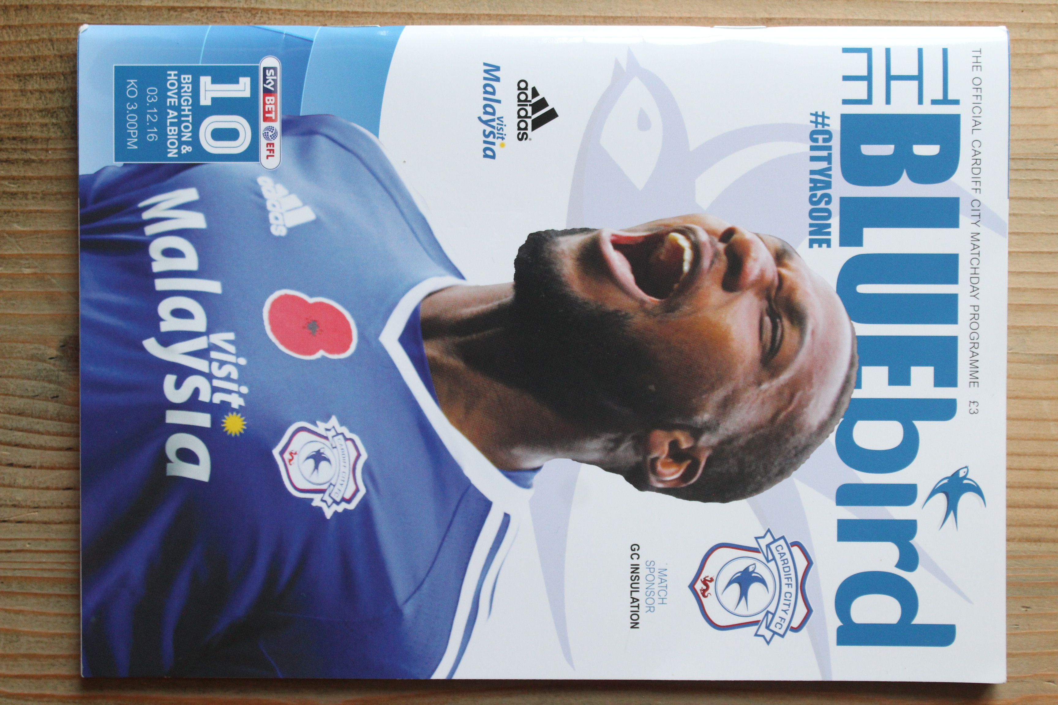 Cardiff City FC v Brighton & Hove Albion FC