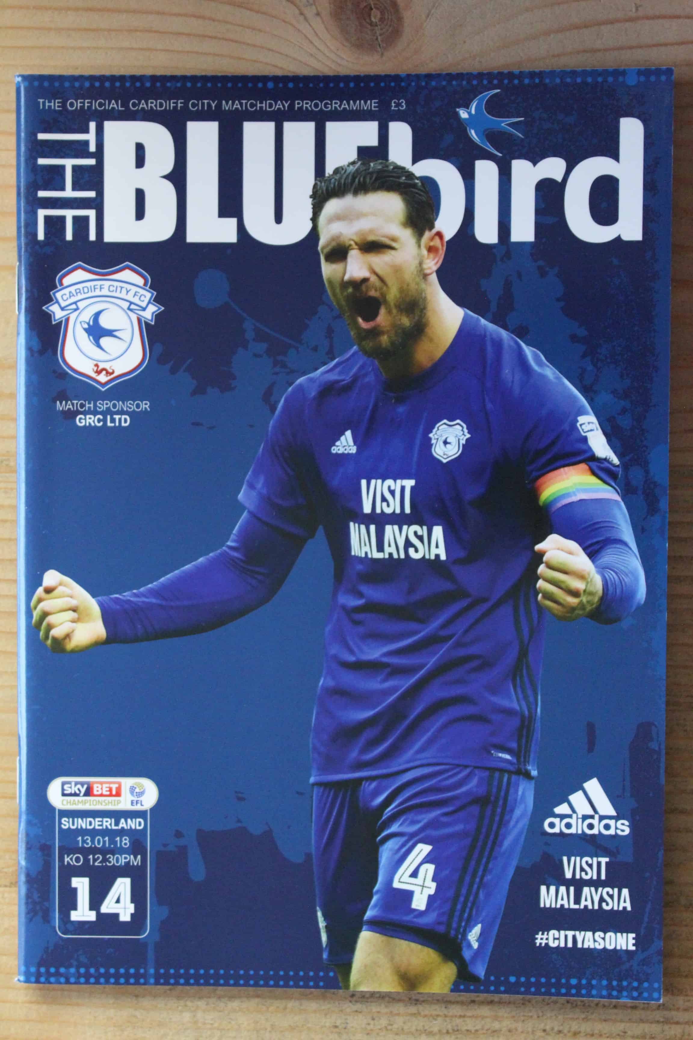 Cardiff City FC v Sunderland FC